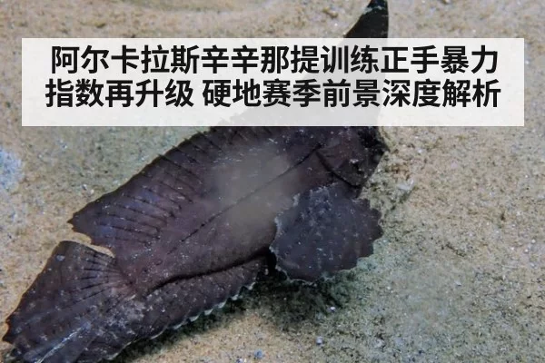 阿尔卡拉斯辛辛那提训练正手暴力指数再升级 硬地赛季前景深度解析