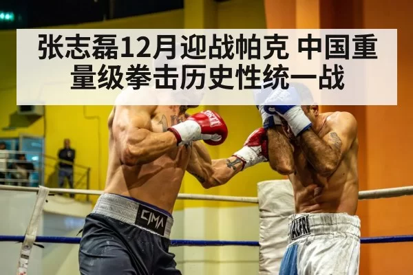 heavyweight boxer training