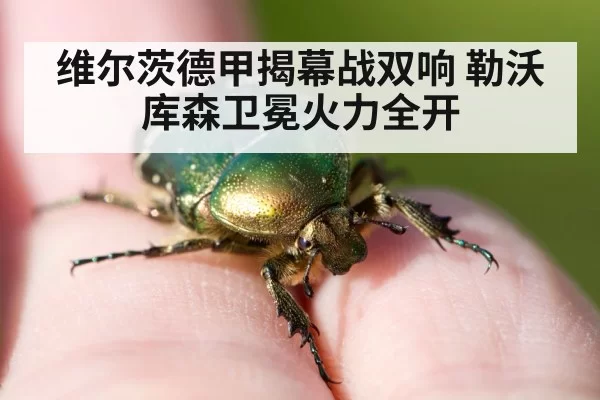 维尔茨德甲揭幕战双响 勒沃库森卫冕火力全开